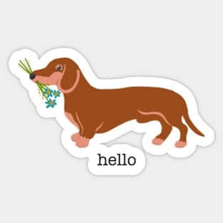 Hello Sticker